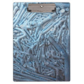 Boxknipsels: blauw klembord (Voorkant)