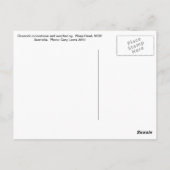 Boxwork Concretions on Wasp Head Briefkaart (Achterkant)