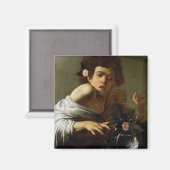 Boy Bitten door een hagedis, c.1595-1600 (olie op  Magneet (Voorkant / Achterkant)