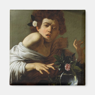 Boy Bitten door een hagedis, c.1595-1600 (olie op Magneet