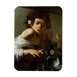 Boy Bitten door een hagedis, c.1595-1600 (olie op Magneet