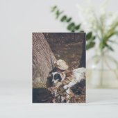 Boy en zijn jachthond Briefkaart (Staand voorkant)