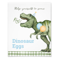 Boy Green Dinosaur 1st Birthday Party Sign