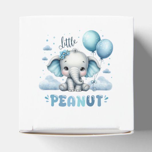 Boy Little Peanut  Bedankdoosjes (Bovenkant)