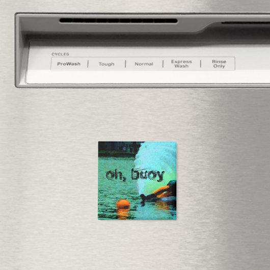 Boy! Magneet (Insitu (Vaatwasser))