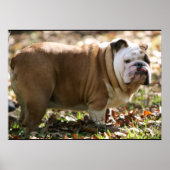 Boy Named Sue Poster (Voorkant)