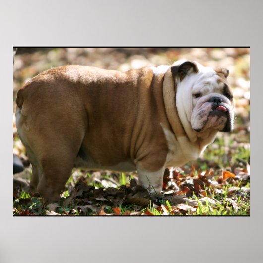 Boy Named Sue Poster (Voorkant)