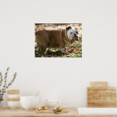 Boy Named Sue Poster (Keuken)