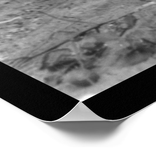 Boy Picking Cotton in Comanche, OK 1916 Poster (Hoek)