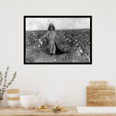 Boy Picking Cotton in Comanche, OK 1916 Poster (Keuken)