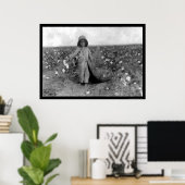 Boy Picking Cotton in Comanche, OK 1916 Poster (Thuiskantoor)