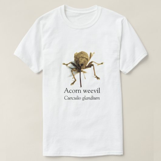 BOYB Acorn Weevil T-shirt (Design voorkant)