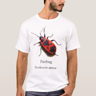 BOYB Firebug T-shirt