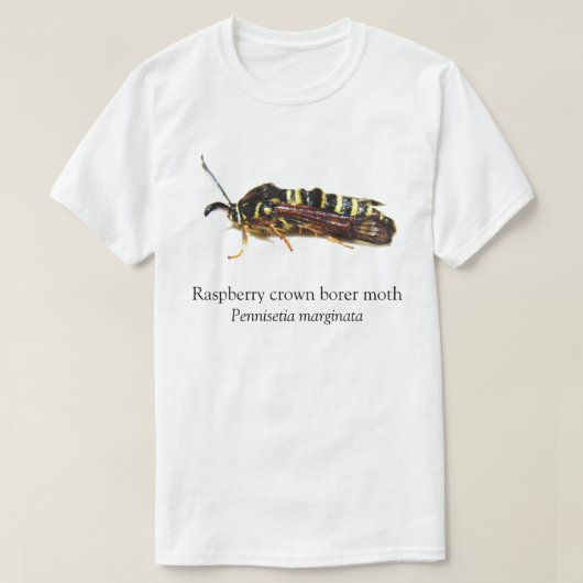 BOYB Raspberry Crown Borer T-shirt (Design voorkant)