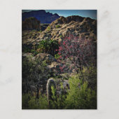 Boyce Thompson Arboretum Briefkaart (Voorkant)