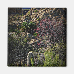 Boyce Thompson Arboretum Magneet