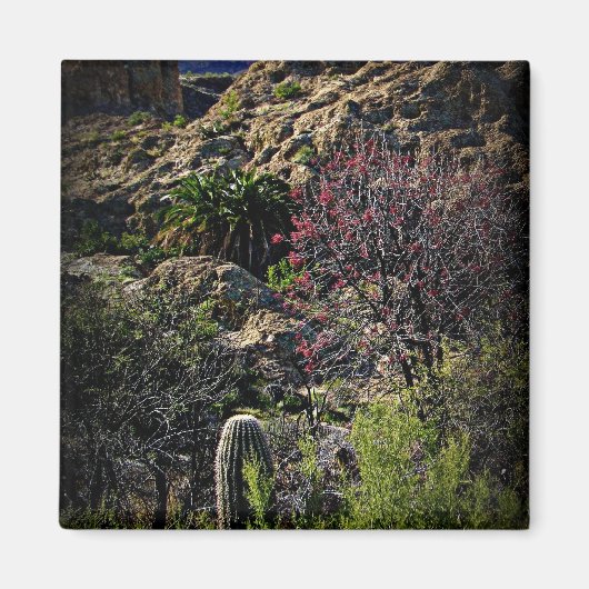 Boyce Thompson Arboretum Magneet (Voorkant)