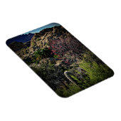 Boyce Thompson Arboretum Magneet (Rechterzijde)