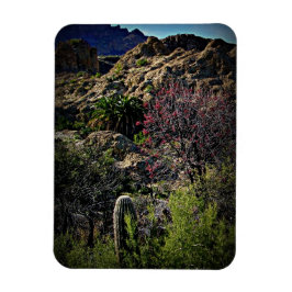 Boyce Thompson Arboretum Magneet