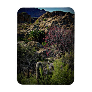 Boyce Thompson Arboretum Magneet