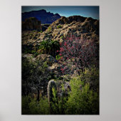 Boyce Thompson Arboretum Poster (Voorkant)