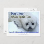 Boycot Canada Briefkaart (Voorkant / Achterkant)