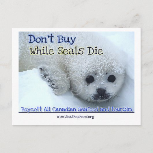 Boycot Canada Briefkaart (Voorkant)