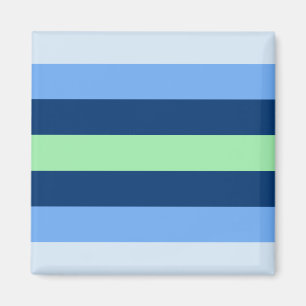 Boyflux Pride Flag Magneet