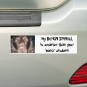 BOYKIN SPANIEL BUMPERSTICKER (Op auto)