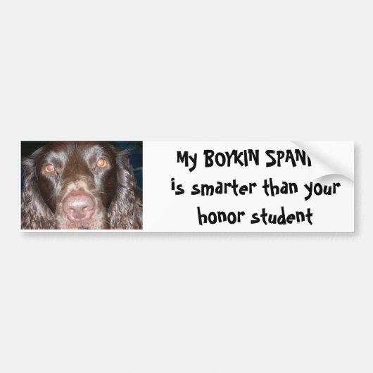 BOYKIN SPANIEL BUMPERSTICKER (Voorkant)