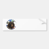 Boykin Spaniel Bumpersticker (Voorkant)