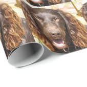 Boykin_spaniel Cadeaupapier (Rol Hoek)