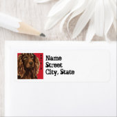 Boykin Spaniel Color Block Etiket (Insitu)