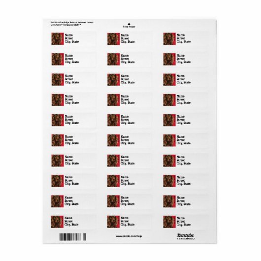 Boykin Spaniel Color Block Etiket (Full Sheet)