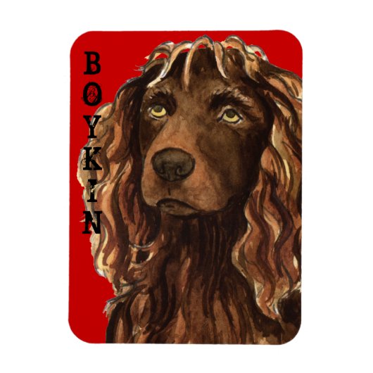 Boykin Spaniel Color Block Magneet (Verticaal)