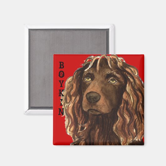 Boykin Spaniel Color Block Magneet (Voorkant / Achterkant)