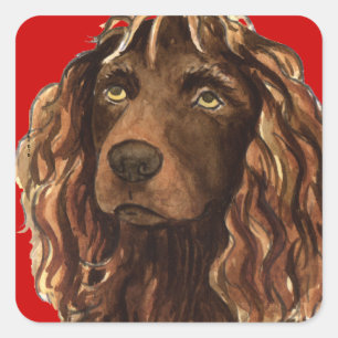 Boykin Spaniel Color Block Vierkante Sticker