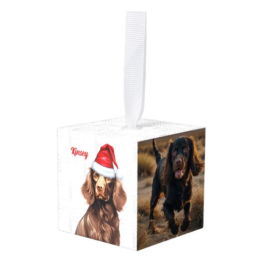 Boykin Spaniel Dog Two Photo Holiday Decoratie (Voorkant hoekig)