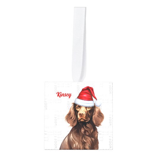 Boykin Spaniel Dog Two Photo Holiday Decoratie (Voorkant)