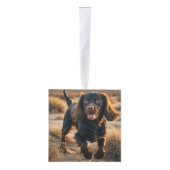 Boykin Spaniel Dog Two Photo Holiday Decoratie (Rechts)