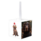 Boykin Spaniel Dog Two Photo Holiday Decoratie (Achter hoekig)