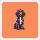 Boykin Spaniel Dog Vierkante Sticker (Voorkant)