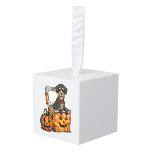 Boykin Spaniel Halloween Decoratie
