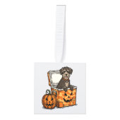 Boykin Spaniel Halloween Decoratie (Voorkant)