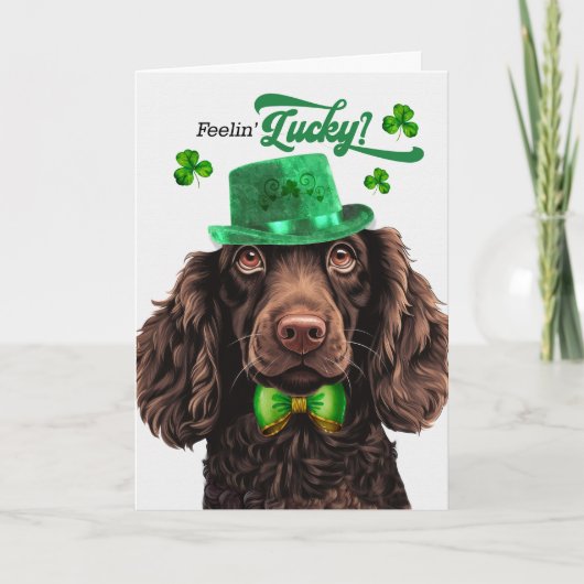 Boykin Spaniel hond gelukige St. Patrick's Dag Feestdagen Kaart (Voorkant)