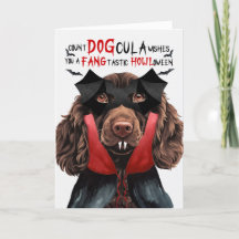 Boykin Spaniel Hond Grappige Graaf HondCula Hallow