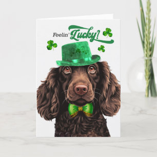 Boykin Spaniel Hond Lucky St Patrick's Day Feestdagen Kaart