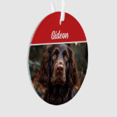 Boykin Spaniel Hond Vakantie Foto Kerstmis Ornament (voorkant)