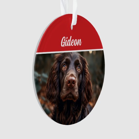 Boykin Spaniel Hond Vakantie Foto Kerstmis Ornament (voorkant)