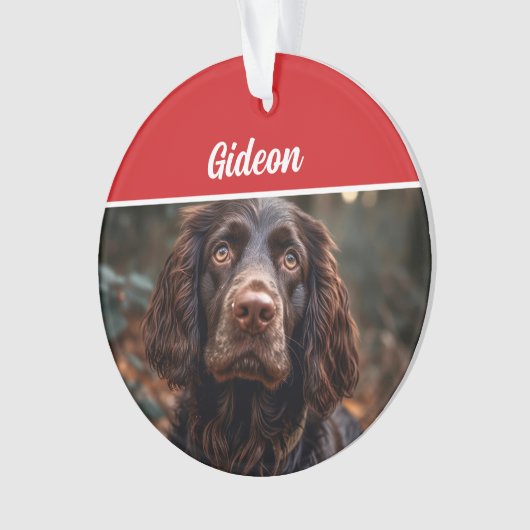Boykin Spaniel Hond Vakantie Foto Kerstmis Ornament (voorkant)